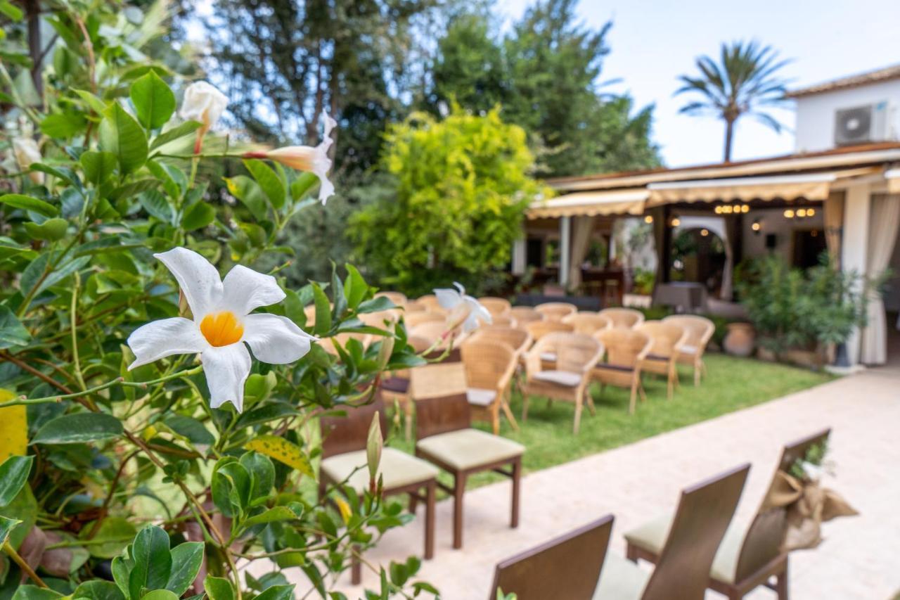 Hotel Tossal D'altea Altea